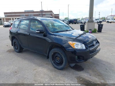 TOYOTA RAV4 2012. Lot# 20256369. VIN 2T3BF4DV2CW233494. Photo 1