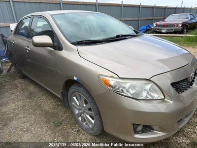 TOYOTA COROLLA 2010. Lot# 20257135. VIN 2T1BU4EE9AC411039. Photo 1