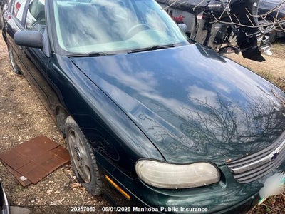 CHEVROLET MALIBU V6 2003. Lot# 20257983. VIN 1G1ND52J43M657466. Photo 1