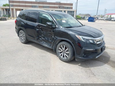 HONDA PILOT 2019. Lot# 20258604. VIN 5FNYF6H34KB509208. Photo 1