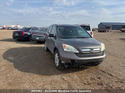 HONDA CR-V 2009. Lot# 20259962. VIN 5J6RE48589L804455. Photo 1