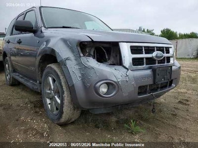 FORD ESCAPE XLT V6 2008. Lot# 20262053. VIN 1FMCU931X8KD78025. Photo 1