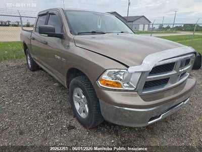 DODGE RAM 1500 SLT CREW CAB 2009. Lot# 20262261. VIN 1D3HV13T79S764629. Photo 1