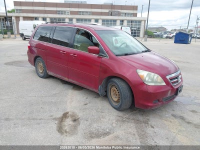 HONDA ODYSSEY 2005. Lot# 20263010. VIN 5FNRL38425B507157. Photo 1