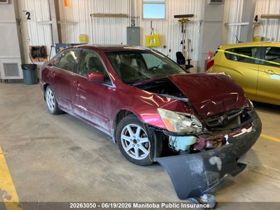 HONDA ACCORD 2005. Lot# 20263050. VIN 1HGCM56615A809679. Photo 1