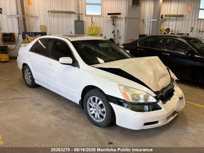 HONDA ACCORD 2007. Lot# 20263270. VIN 1HGCM56787A806774. Photo 1