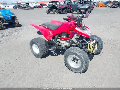 1HFTE2727D4300141 HONDA TRX250 Photo 1