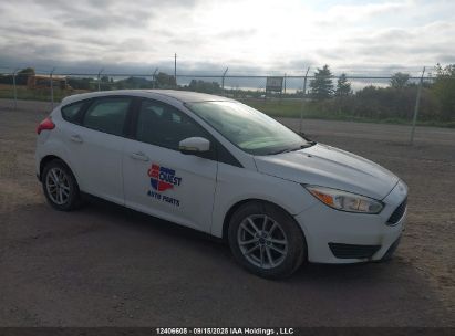 1FADP3K26GL400320 FORD FOCUS Photo 1