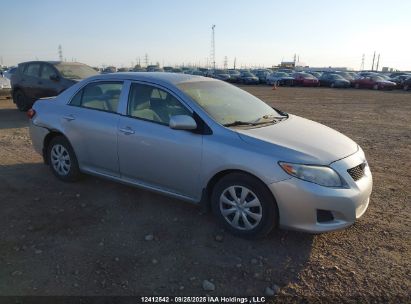 2T1BU4EE5AC317790 TOYOTA COROLLA Photo 1