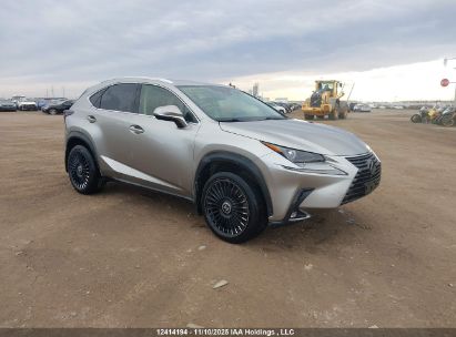 JTJGARDZ2M2238710 LEXUS NX Photo 1