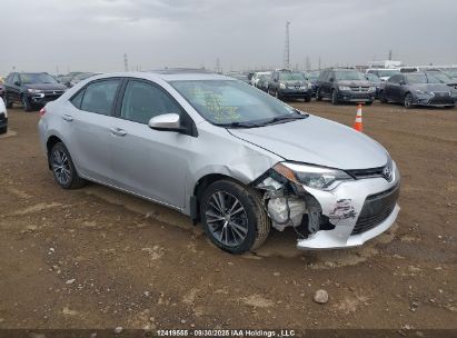 2T1BURHE0GC691449 TOYOTA COROLLA Photo 1