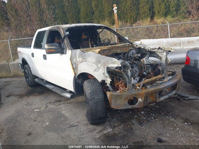 1FTPW14V69FA77846 FORD F150 Photo 1
