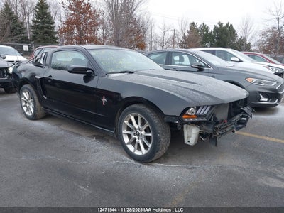1ZVBP8AN5A5128829 FORD MUSTANG Photo 1