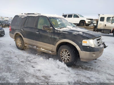 1FMJU1G55BEF26576 FORD EXPEDITION Photo 1