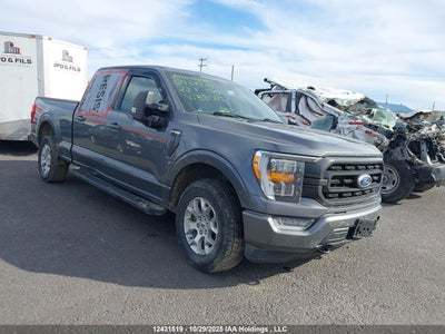 1FTFW1E81NFB81501 FORD F-150 Photo 1