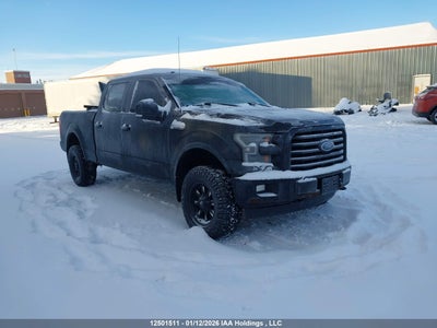 1FTFW1EF4HKE31596 FORD F-150 Photo 1
