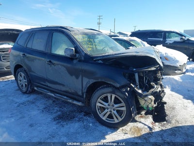 5XYZGDAG8BG062393 HYUNDAI SANTA FE Photo 1