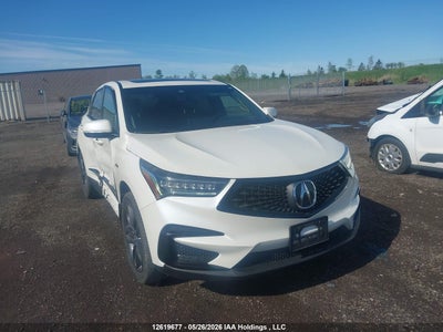 2019 Acura Rdx 2.0 Rdx A-Spec white Lot 111012619677 Vin 5J8TC2H68KL807653