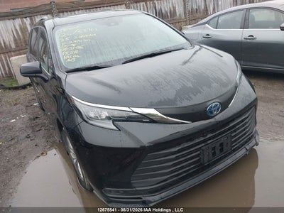 2025 TOYOTA SIENNA
