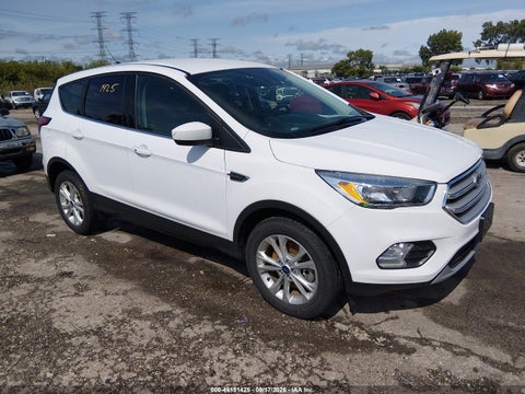 2019 Ford Escape SE