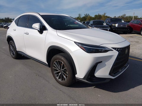 2024 Lexus NX