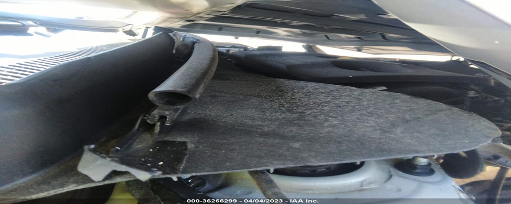5NPD74LF8KH445399 2019 HYUNDAI ELANTRA photo no. 10