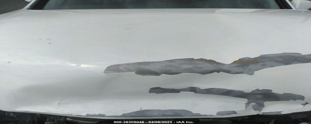 5NPE34AF6HH444862 2017 HYUNDAI SONATA photo no. 10