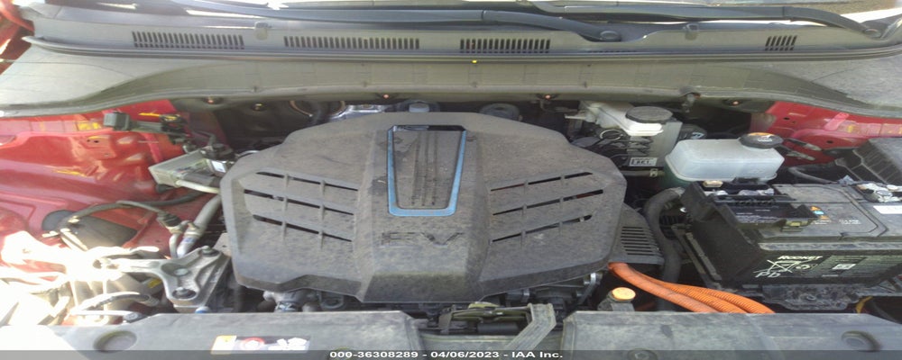 KM8K33AG4KU029781 2019 HYUNDAI KONA EV photo no. 10