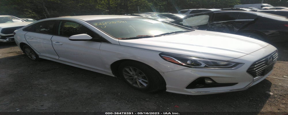 5NPE24AF3KH770533 2019 HYUNDAI SONATA photo no. 13