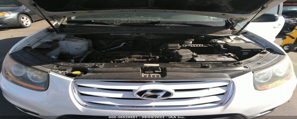 5NMSGDAB0AH349916 2010 HYUNDAI SANTA FE photo no. 10