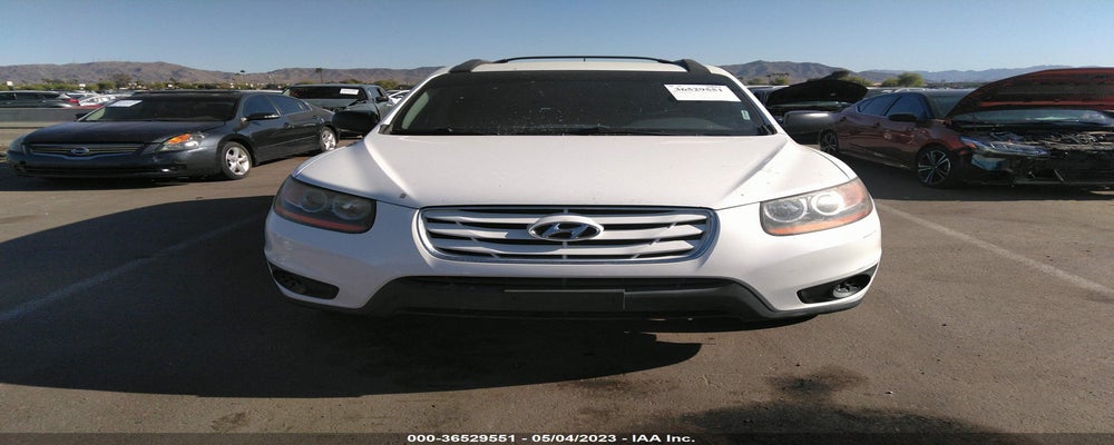 5NMSGDAB0AH349916 2010 HYUNDAI SANTA FE photo no. 6