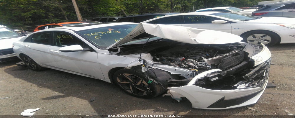 5NPLN4AG6MH025205 2021 HYUNDAI ELANTRA photo no. 16