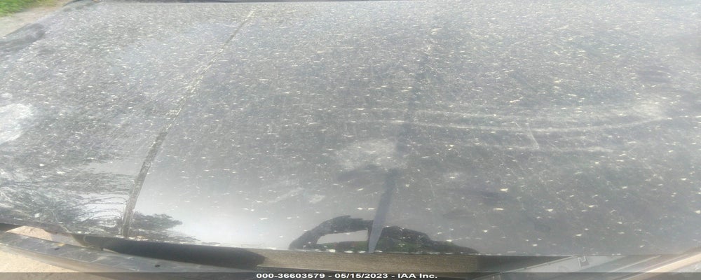 KMHD74LF0KU781260 2019 HYUNDAI ELANTRA photo no. 10