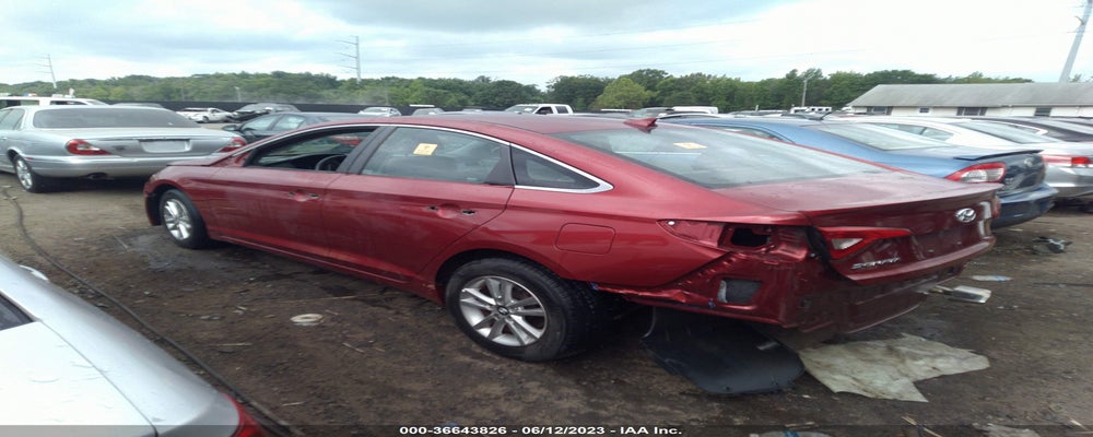 5NPE24AF5GH370755 2016 HYUNDAI SONATA photo no. 3
