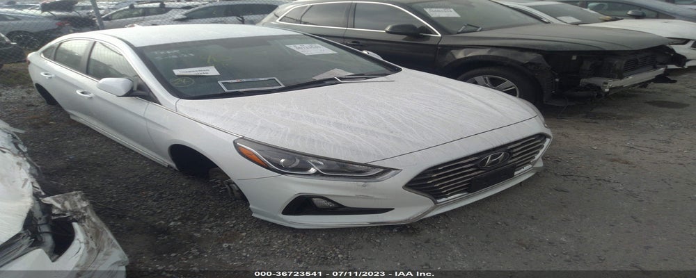 5NPE24AFXKH795607 2019 HYUNDAI SONATA photo no. 14