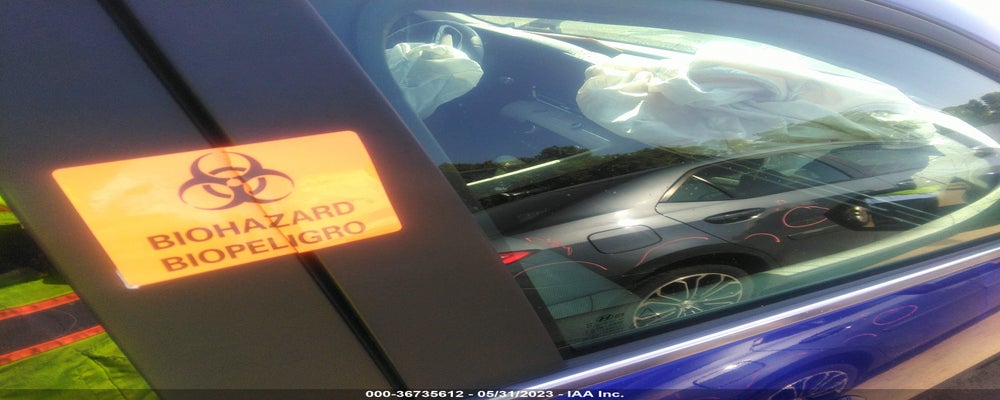 KMHLN4AJ6PU064071 2023 HYUNDAI ELANTRA HYBRID photo no. 5