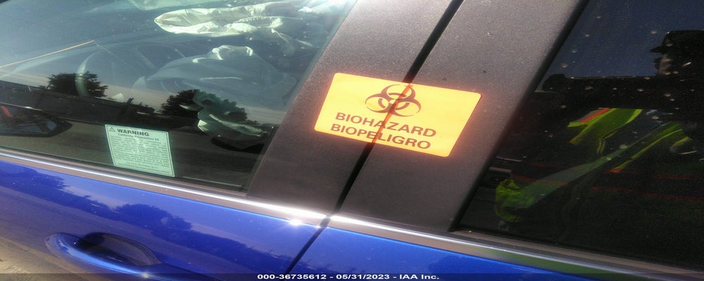 KMHLN4AJ6PU064071 2023 HYUNDAI ELANTRA HYBRID photo no. 7