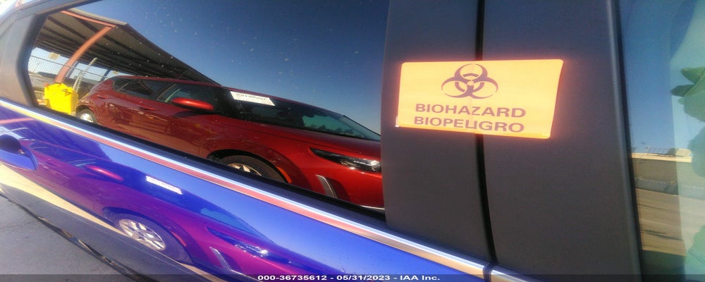 KMHLN4AJ6PU064071 2023 HYUNDAI ELANTRA HYBRID photo no. 8