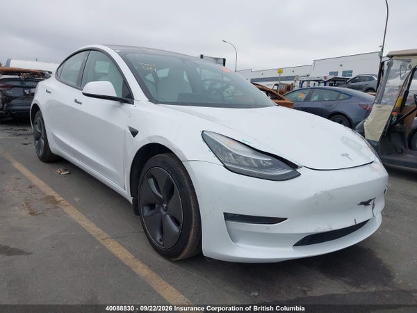 2019 Tesla Model 3