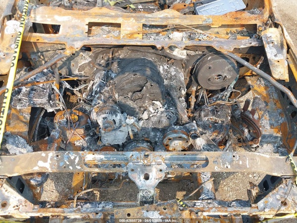 Image 10