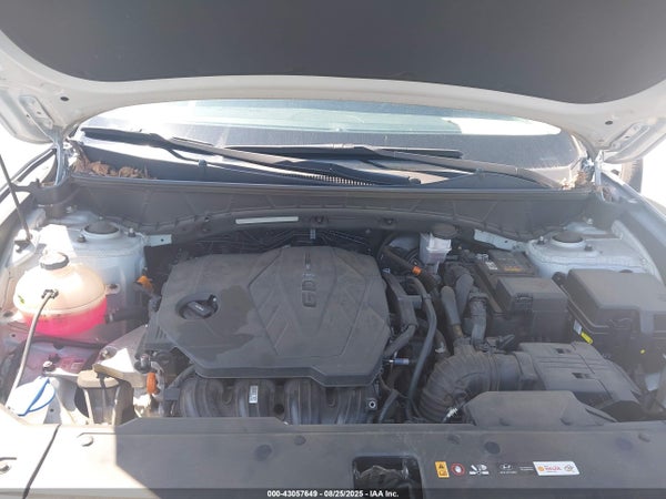 Thumbnail 10