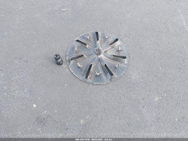 Image 12