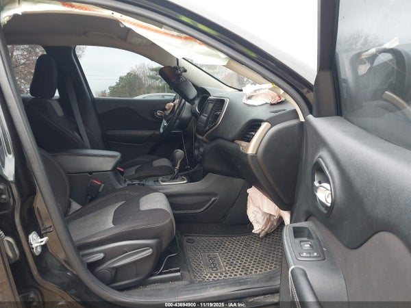 Image 5