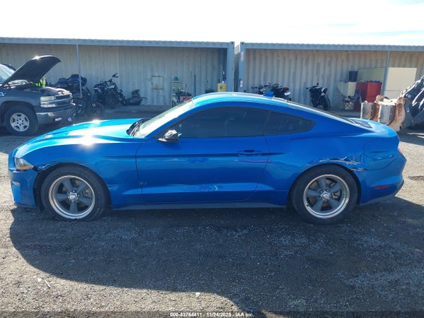 Image 14