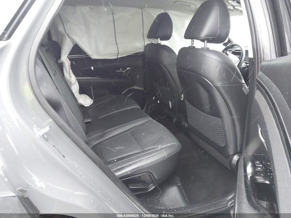 Image 8