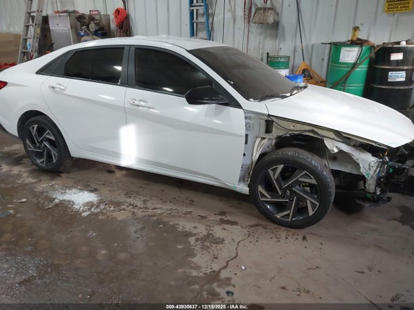 Image 13