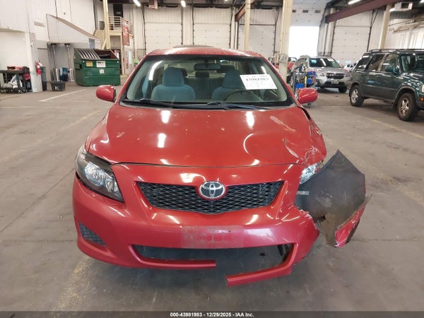 Image 12