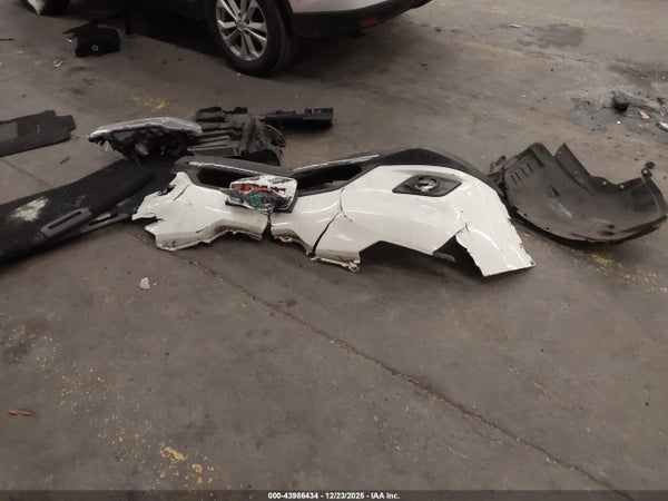 Image 11