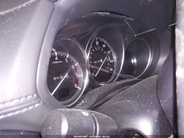 Image 7