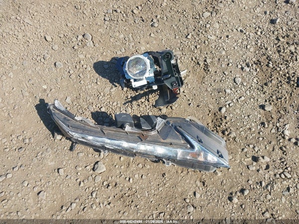 Image 12
